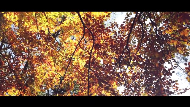 Notre Mariage ♥ le 17 Octobre 2017