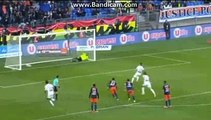All Goals & highlights HD   Montpellier HSC 0-3 Lille Osc  29-04-2017
