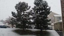 Thundersnow Rumbles Over Centennial During Spring Snowstorm