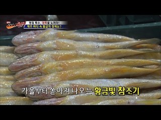 명절 대목 참조기! 부르는 게 값이다! [뉴 코리아 헌터] 14회 20160907