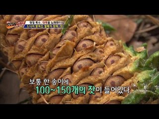 헌터들이 수확한 열매는? [뉴 코리아 헌터] 14회 20160907