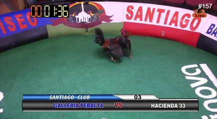 03-GALLOS PERALTA VS HACIENDA 33 SG-29-04-2017