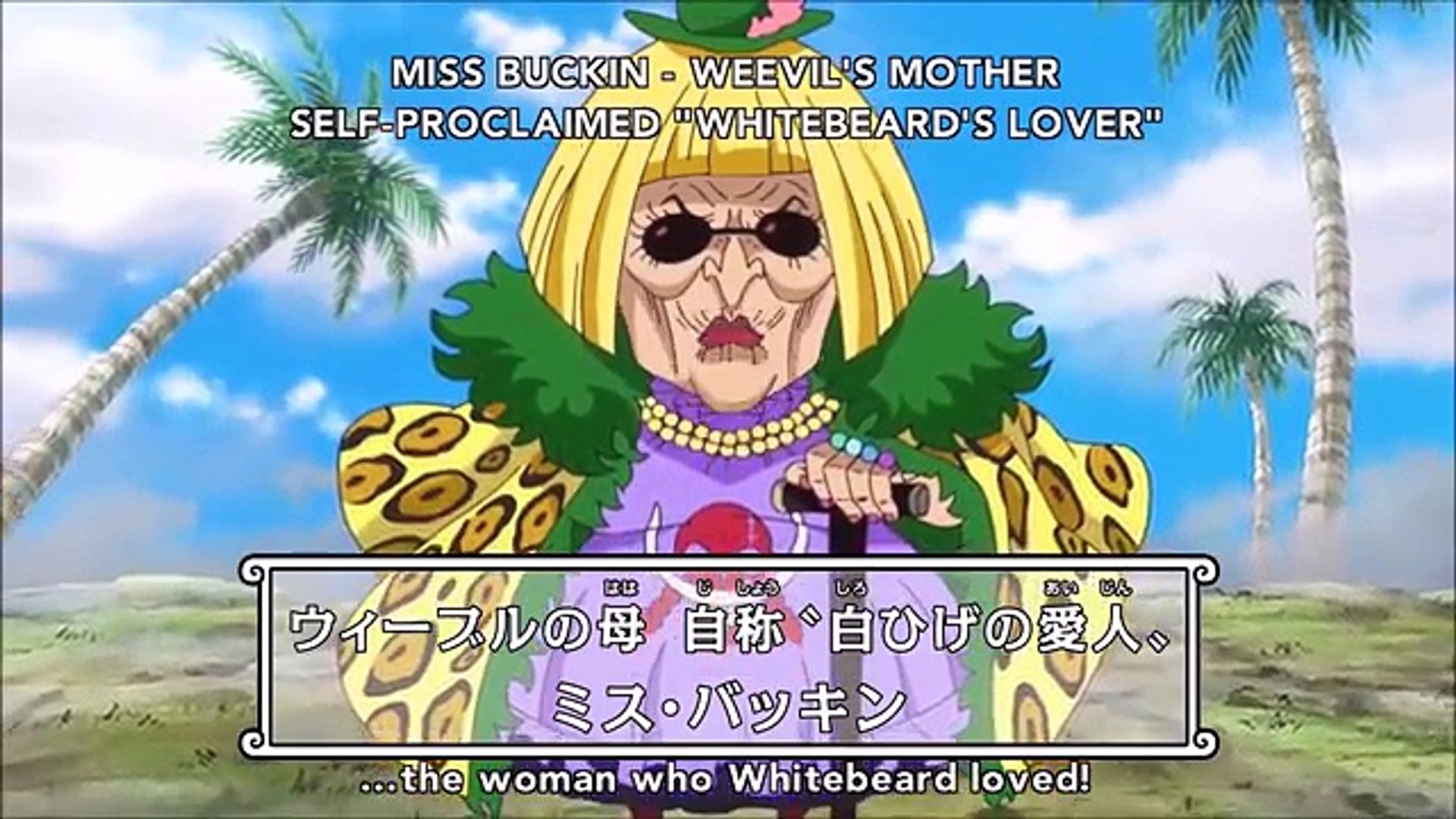 Weevil Targets Marco And Luffy One Piece 752 Eng Sub Video Dailymotion