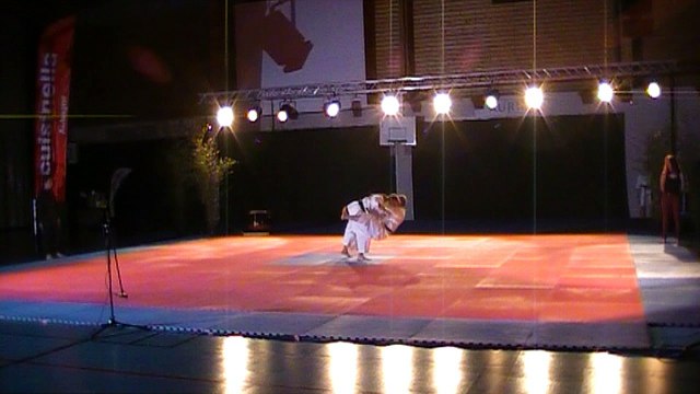 GALA DES ARTS MARTIAUX 2017