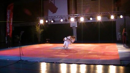 GALA DES ARTS MARTIAUX 2017