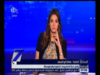 الساعة السابعة | هالة أبو السعد تشرح ماهية المشروعات الصغيرة والمتوسطة للشباب