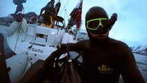 GoPro Awards - Freediving with Wild Orcas-Yd