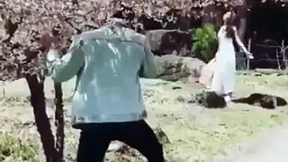 Daniel Padilla slammed for shaking cherry blossom tree in Japan