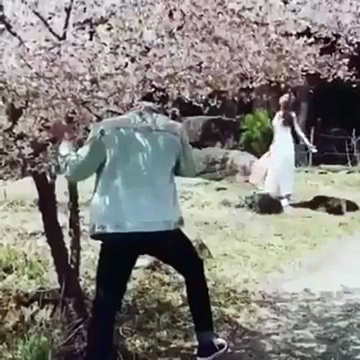 Daniel Padilla slammed for shaking cherry blossom tree in Japan