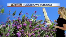 Sunny weather bringing higher temperatures to Valley