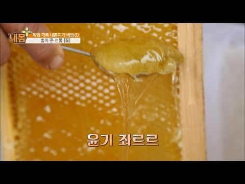 하반신 마비도 낫게 한 ‘이것’! [내 몸 플러스] 22회 20160904