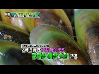 초록색 껍데기 홍합? 마오리족의 관절 지킴이! [내 몸 사용설명서] 118회 20160902