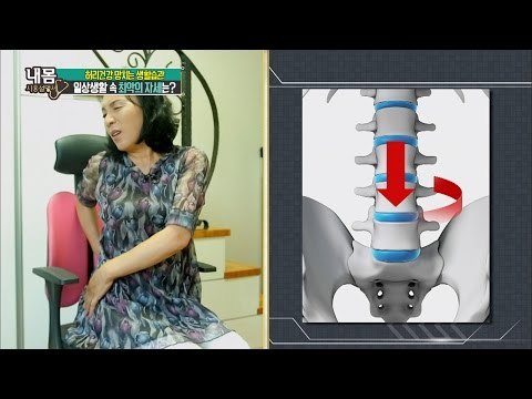 의자에 앉아서 스트레칭, 허리를 망친다! [내 몸 사용설명서] 118회 20160902