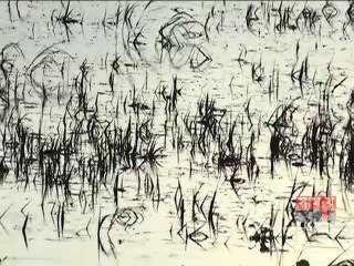 সুনামগঞ্জে জীবিকার তাগিদে অনেকে এলাকা ছাড়ছেন