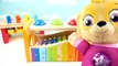 Learn Colors Pounding Toys Xylophone Finger Family Song Nursery Rhymes Body Paint Balls Colours-et71