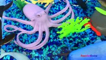 ANIMAL PLANET MEGA OCEAN TUB SHARKS DOLPHINS TURTLES SEAHORSE STARFISH OCTOPUS WHALE CRAB - UNBOXING-xw7X-zc