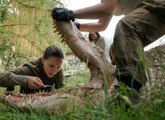 Annihilation Full Movie 2018 Streaming [HD]