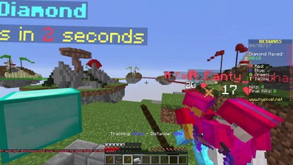 Anti-Knockback (2) and Reach (5) (Full team of Hackers!)