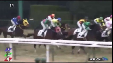 期待のクラシック候補 ファンディーナ デビュー戦