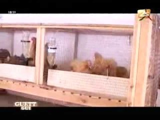 Guett Gui - 2 Juin 20120