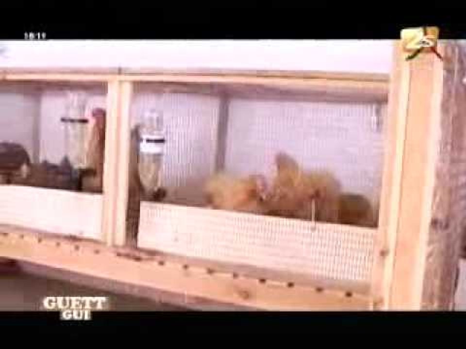Guett Gui - 2 Juin 20120