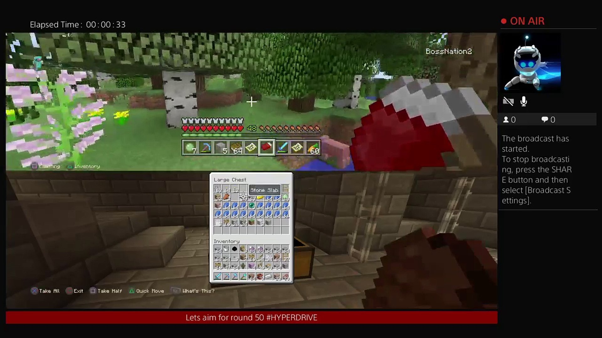 Minecraft: 100% Survival (6)