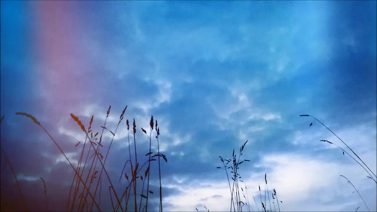 Céline cover