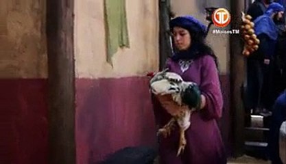 Capitulo 229 Moises Y Los Diez Mandamientos completo HD (nuevo) part 2/2