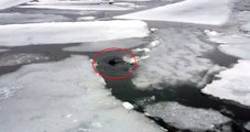 Buzla Kaplı Göle Düşen Tilki, 4 Dakika İçinde Donup Kaldı