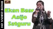 Rajasthani Bhajan | Ekan Baar Aaijo Satguru | FULL Live Video | Guru Mahima | Vimla Gurjar New Song | Marwadi Song 2017 | Latest HD | Bhakti Geet | Devotional Songs | Anita Films
