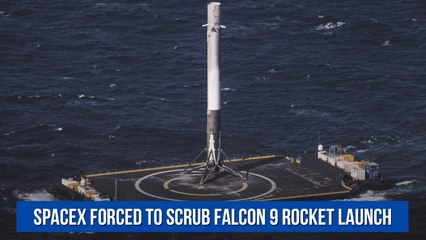 SpaceX forced to scrub Falcon 9 rocket launch