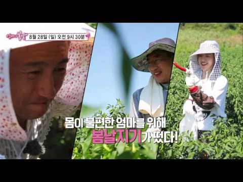 향님 엄마의 인생 역전_엄마의 봄날 56회 예고