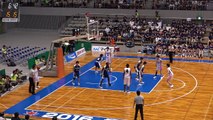 桜花学園vs岐阜女子(Q2)高校バスケ 2016 インターハイ女子決勝