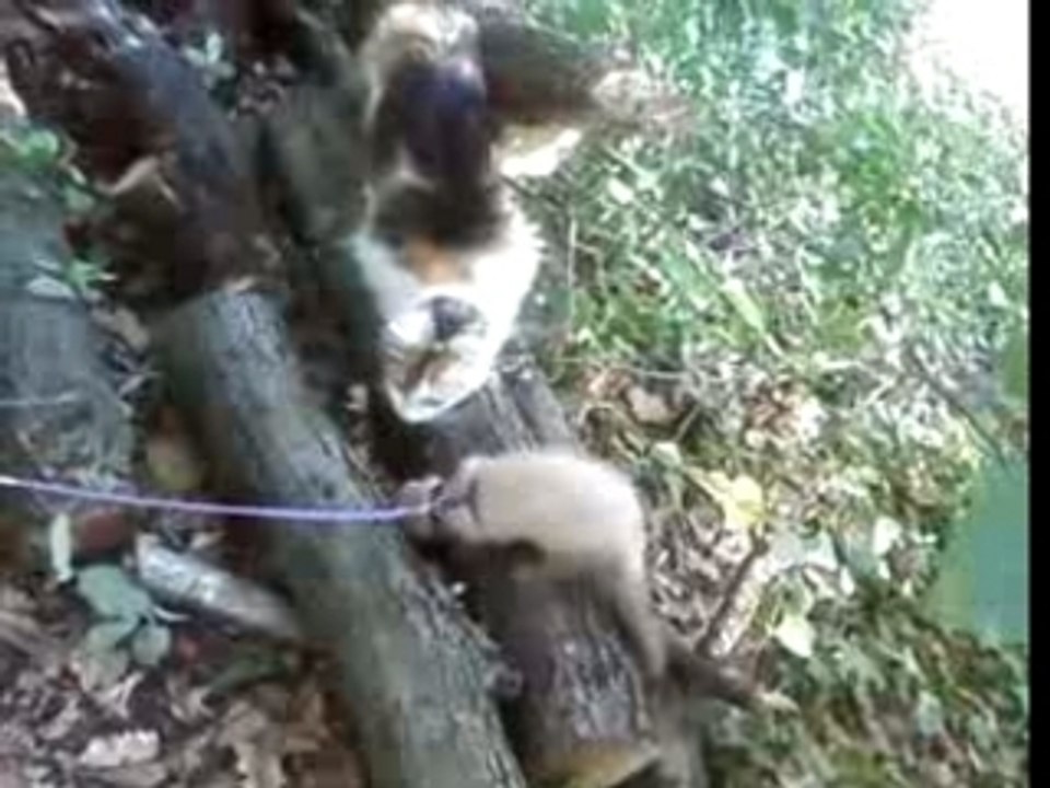 Neelou dans le vallon4