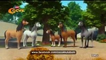 Doru Çizgi Filmi - Yeni 1,Çizgi film izle 2017 & 2018