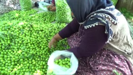 İşçi Bayramı'nın Öteki Yüzü