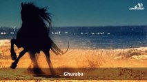 Ghuraba - Te huajt (ILAHI me titra shqip) | Beautiful Nasheed