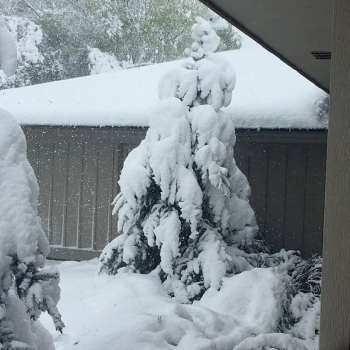 Heavy Snowfall Blankets Garden City