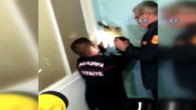 Havalandırma Boşluğunda Sıkışan Kediyi Duvarı Kırarak Kurtardılar