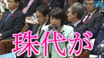 国会 爆笑 ブチギレ！安倍総理も丸川珠代大臣も民進 小川淳也もキレる！ 最新の面白い国会中継