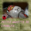 La petite gazette de l'insolite