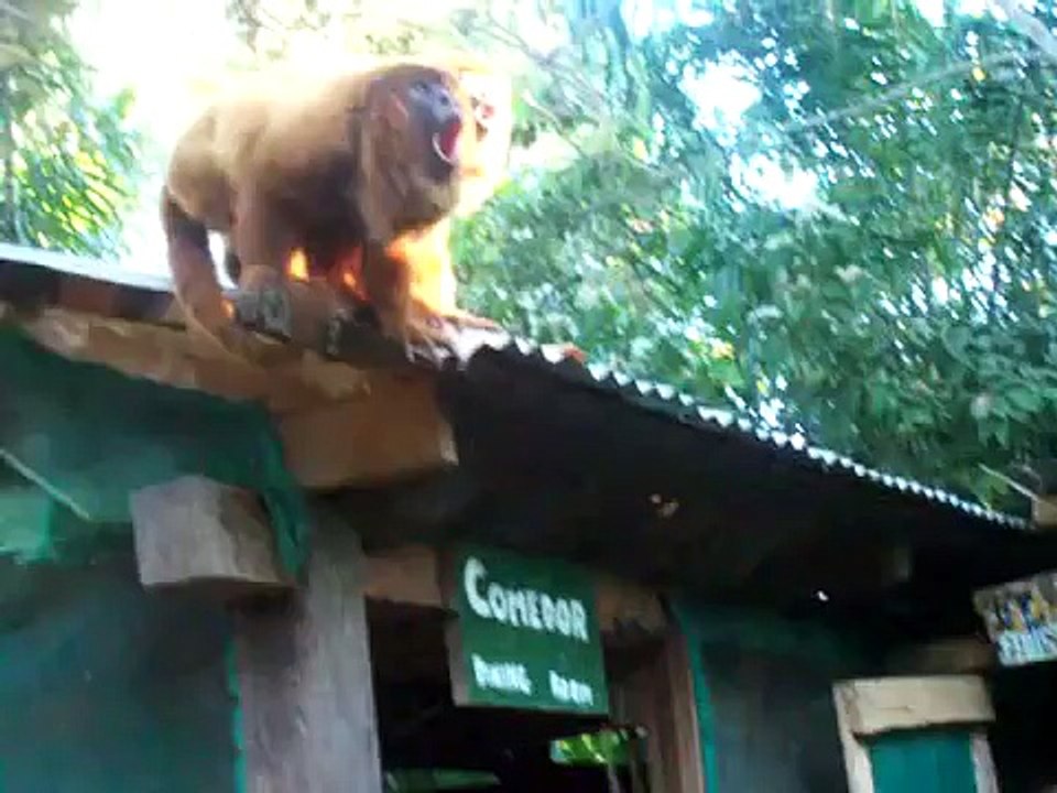 Вот что значит - ТРУБЫ ГОРЯТ