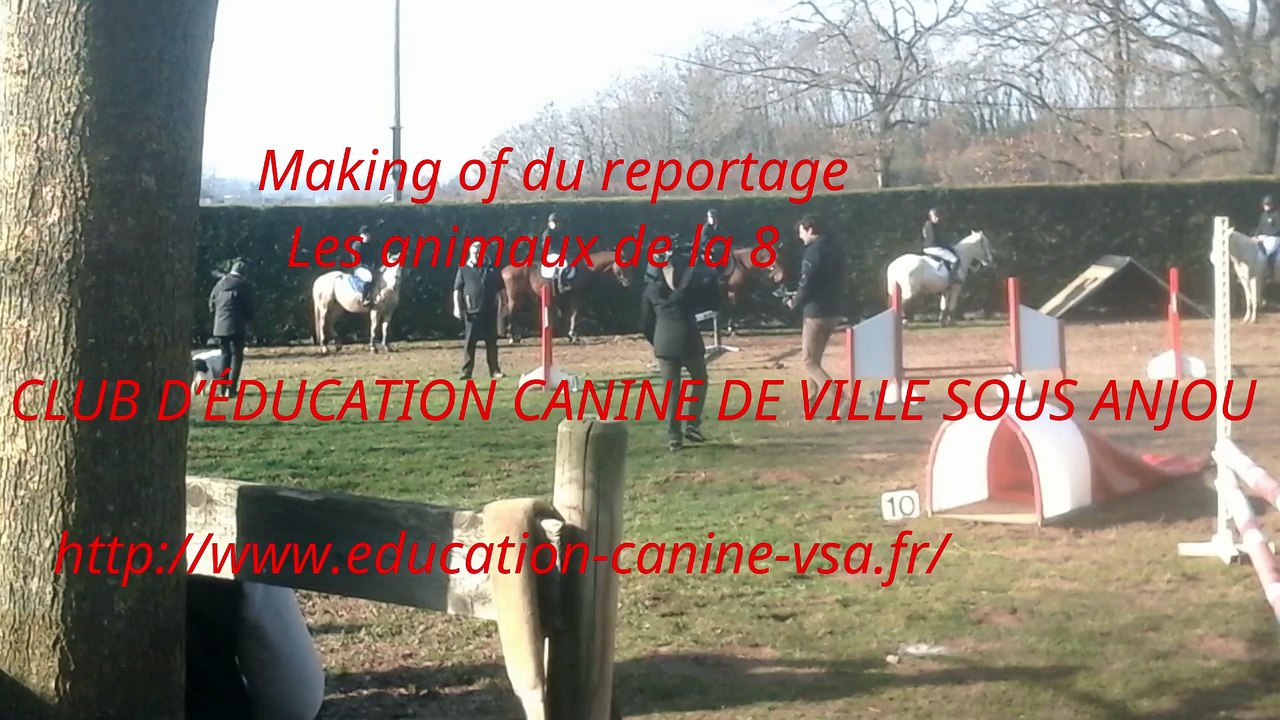 Making of les animaux de la 8 Ville sous Anjou