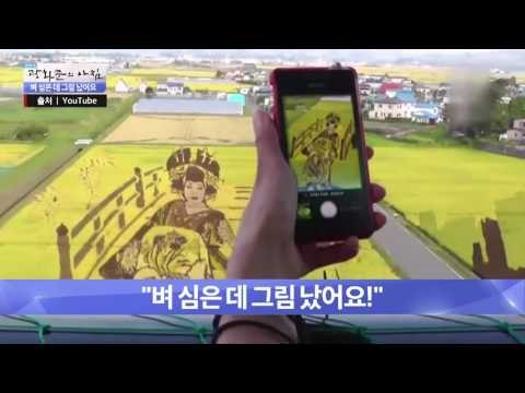 벼 심은 데 예술 그림이 탄생하다? [광화문의 아침] 304회 20160826