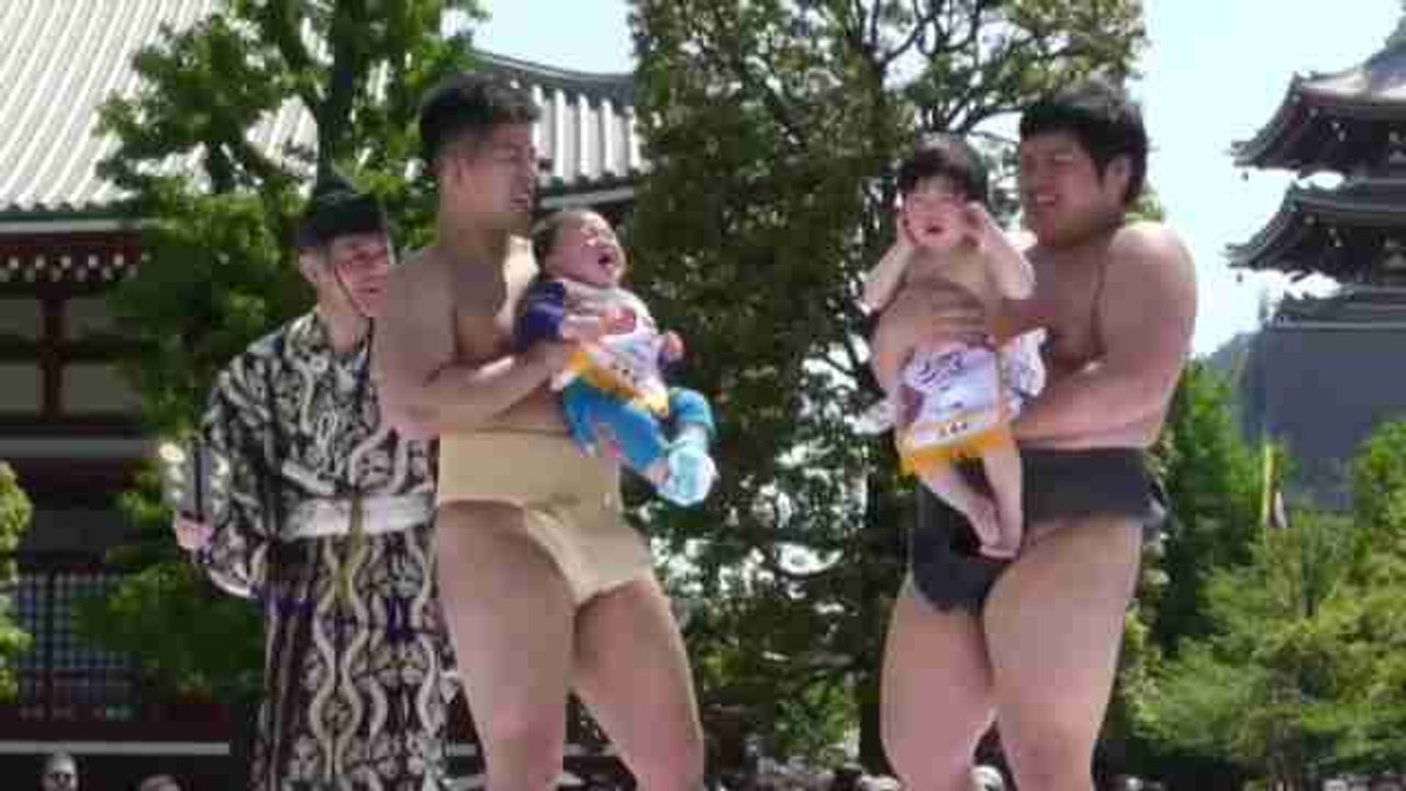 Celebran el Festival Naki Sumo de los bebés llorones en Japón