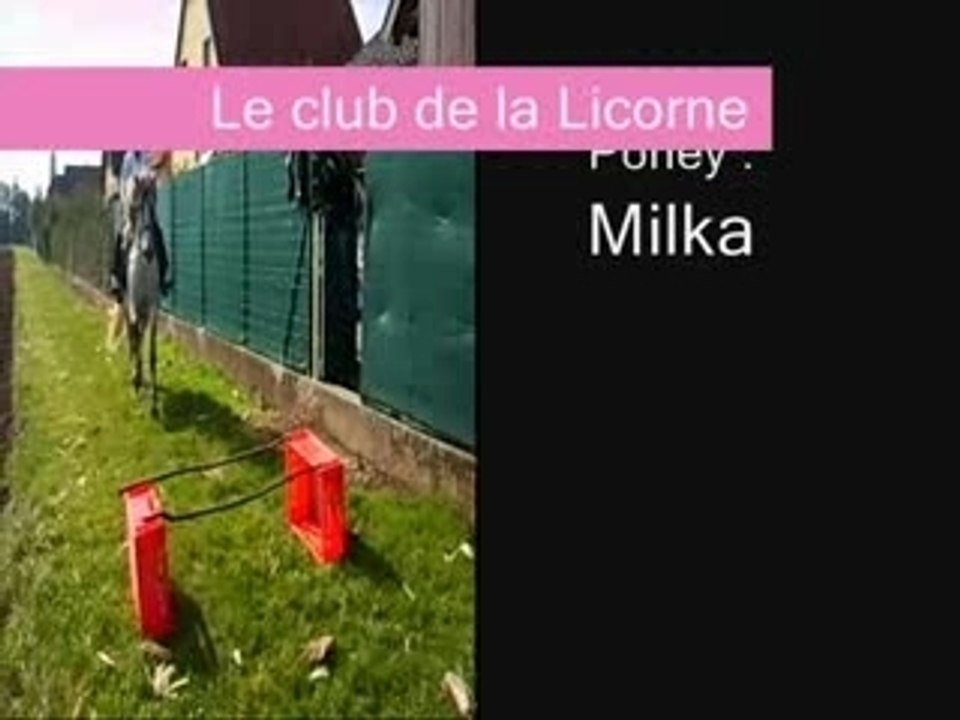 Flk,gkjfgjkhgnjhht4545454h5nhk,98_0001