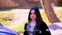 Pashto New Songs 2017 Dunya Ghazal - Ta Che Arawaly Dy