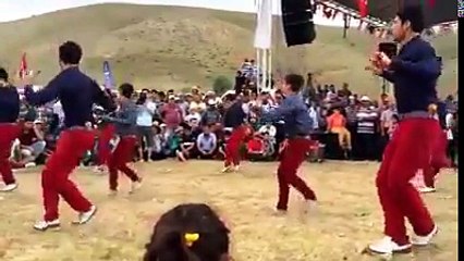 Muhteşem Erik dalı gevrektir