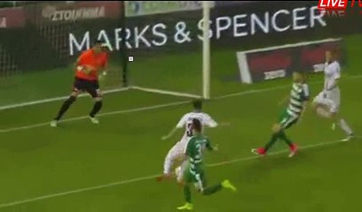 Marcus Berg Goal HD - Panathinaikos	2-0	AEL Larissa 30.04.2017