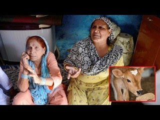 Dadri killing : Beef word not mentioned in UP govt report to Centre